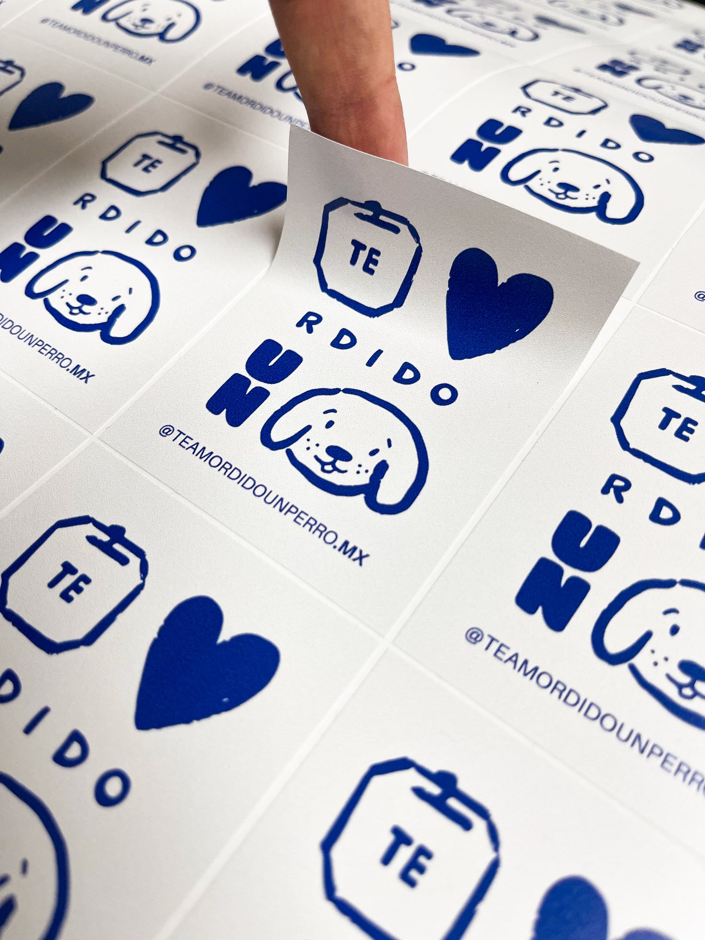 Stickers fotográfico